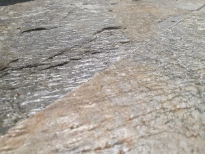 3ca9c7d5a9eef35568ed540a13f15dc1