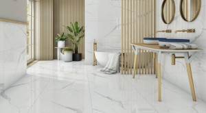 760e2c271e78bcb8516a722be88d8aff