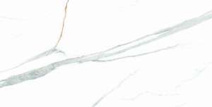 c612ce0245bf4247782784ab6d2780c4