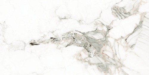 bc1d9d3de12ba4234c35e23ad92887a1