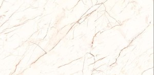 c1163e27dca85cd2c493d040e57a38e5