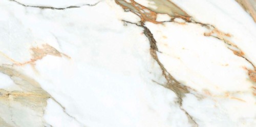 fc5417f083a0accaddb9239640788818