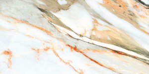 be9fdd4e5475ccc36fe31f8b837840a0