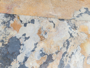 32d005269ae023316f3681aabbbf9ba5