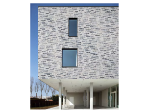 Kamień dekoracyjny marmur Pure Cloud 10x40