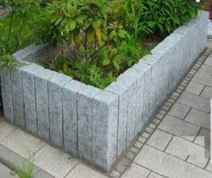 1081