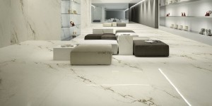 809c3118eecde9b4d6d8250a040c36c6