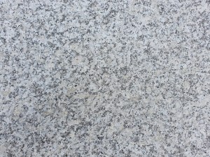 ee8687380ee672c8d4aaa263fff38c63