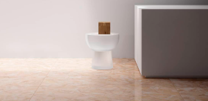 a5714c3f4651284cfba669ca50e3aa90