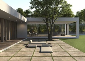 f8cbfa327260a0cd14ef9717d833bc89