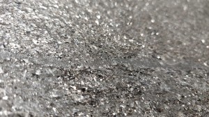 blackpearl2023 (3).jpg