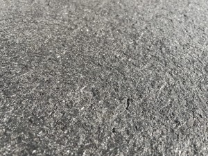 blackpearl2023 (4).jpeg