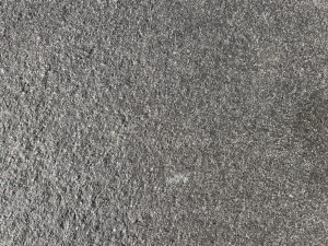 blackpearl2023 (5).jpeg