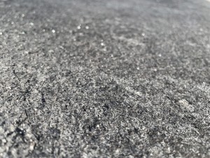 blackpearl2023 (7).jpeg