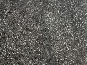 blackpearl2023 (8).jpeg