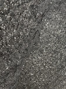 blackpearl2023 (9).jpeg