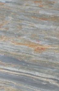 Burning Forest (14).jpg