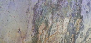 Burning Forest (15).jpg