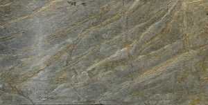 Burning Forest 2021 x.jpg