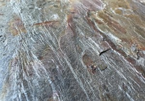 Burning Forest 2022 (Detail) (1).JPG