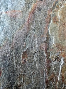 Burning Forest 2022 (Detail) (2).JPG