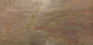 BurningForest_20231211 (8).jpeg