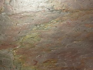 BurningForest_20231211 (9).jpeg