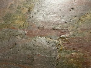 BurningForest_20231211 (10).jpeg