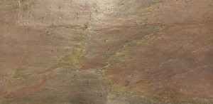 BurningForest_20231211 (11).jpeg