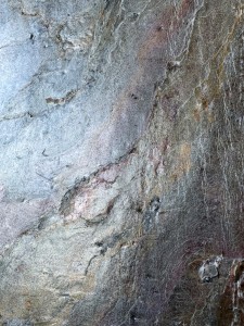 Burning Forest 2022 (Detail) (4).JPG