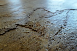 Burning Forest neu Detail (2).JPG