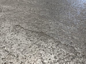 Silver Grey 2021 Detail x2.jpg