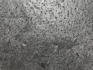 SilverGrey_20231211 (4).jpeg