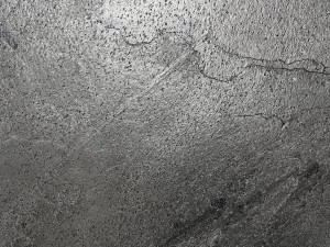 SilverGrey_20231211 (6).jpeg