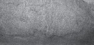 Silver Grey (neu) (1).JPG