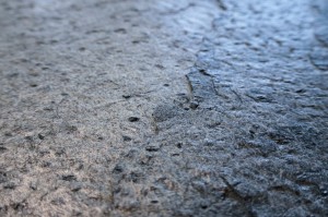 Silver Grey neu Detail (1).JPG