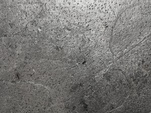 SilverGrey_20231211 (3).jpeg