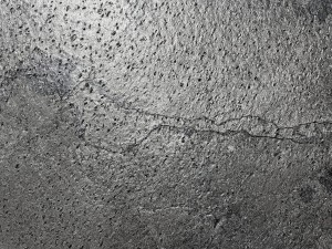 SilverGrey_20231211 (5).jpeg