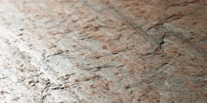 Cobre - Detail (1).jpg