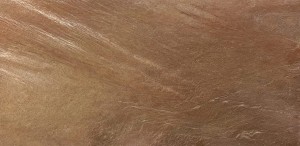 Cobre_20231211 (1).jpeg