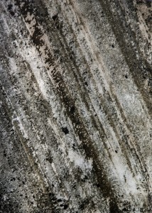 D-Black - Translucent.jpg