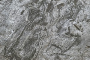 Matrix (Detail) 01.jpg