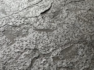 Matrix_Detail (3).JPG