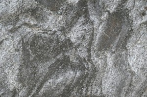 Matrix (Detail) 02.jpg