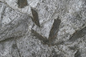 Matrix (Detail) 03.jpg