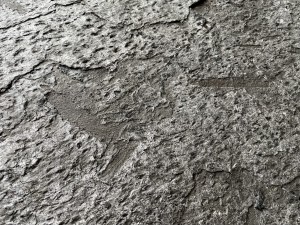 Matrix_Detail (5).JPG