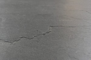 Negro Detail (2).jpg