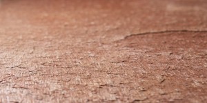 Cobre New - Detail (4).jpg