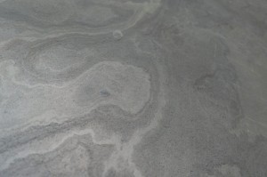 California Grey (11).JPG