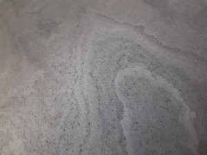 California Grey (15).jpg